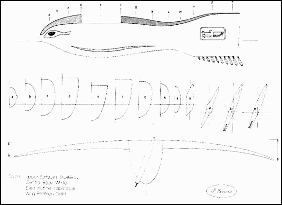 Side, rear views and cross sections